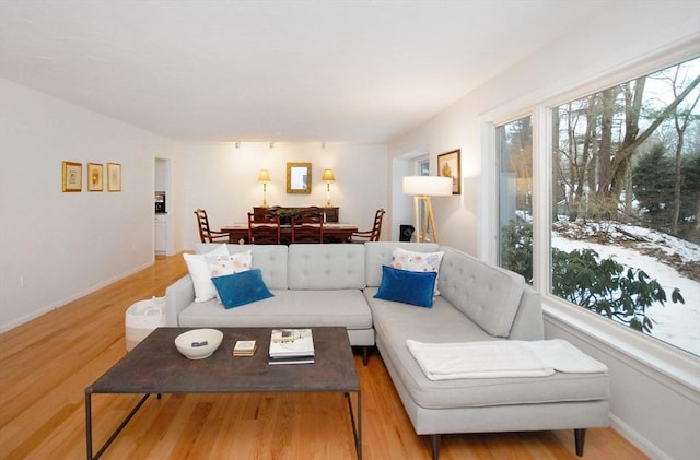 living room with light wood-type flooring