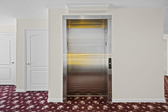 interior details with carpet and elevator