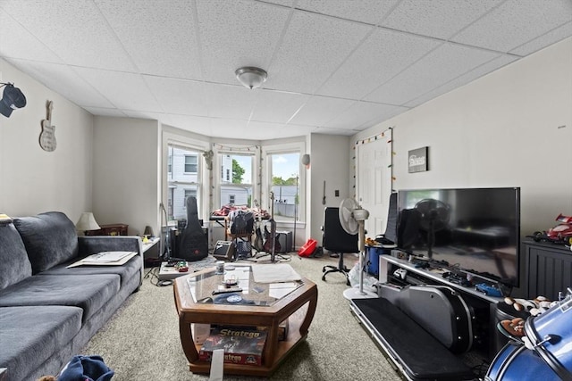 19 Park St, Webster, MA 01570 - living room featuring a paneled ceiling and carpet