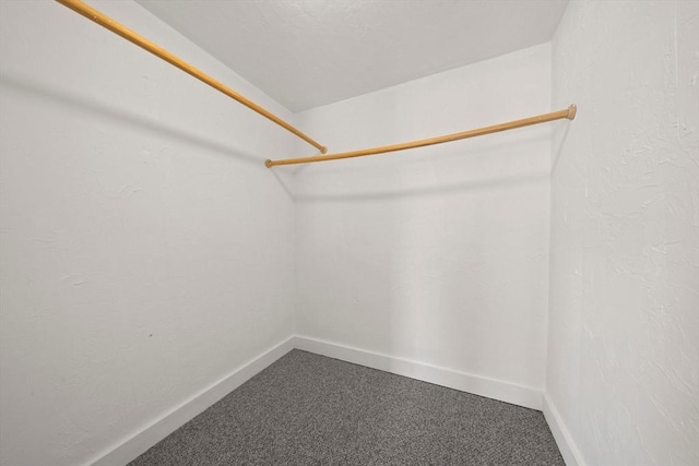 walk in closet featuring carpet floors