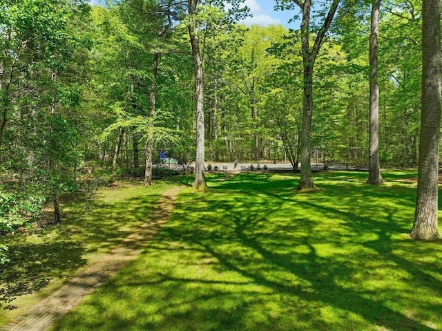 63 Claypit Hill Rd, Wayland, MA 01778 - view of grassy yard featuring a view of trees