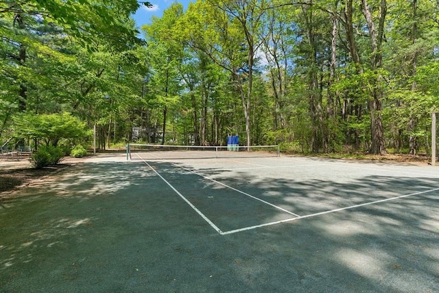 63 Claypit Hill Rd, Wayland, MA 01778 - view of tennis court with a view of trees