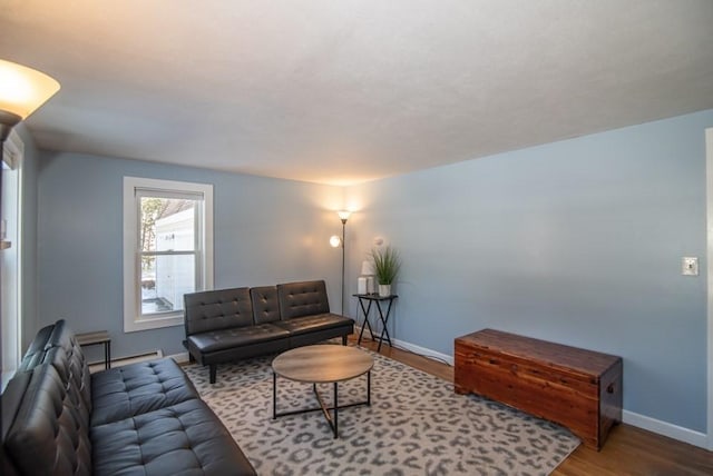 living room featuring wood-type flooring