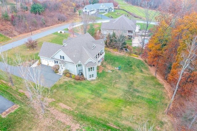 drone / aerial view