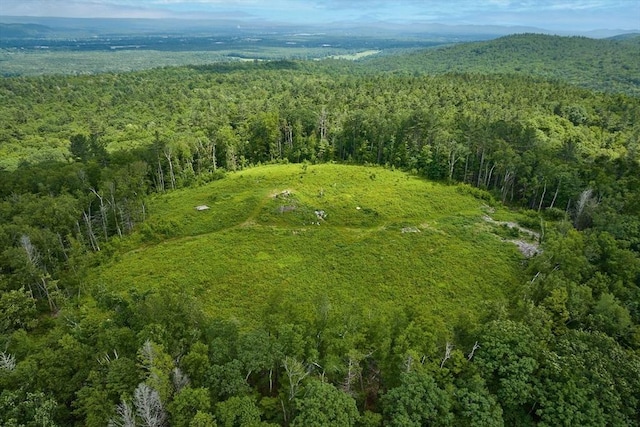 40 Whately Glen Rd, Conway, MA 01341 - view of property location featuring a forest and a mountainous background