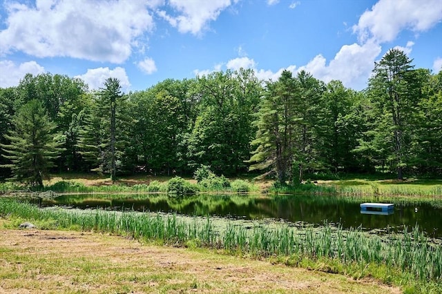 40 Whately Glen Rd, Conway, MA 01341 - view of woods with a water view