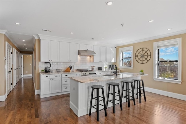 kitchen with visible vents, backsplash, stove, a sink, and under cabinet range hood