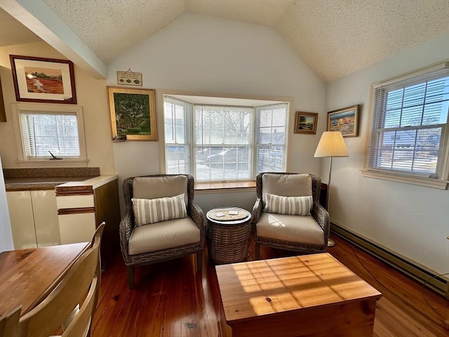 living area with a baseboard radiator, vaulted ceiling, dark wood-type flooring, and a textured ceiling