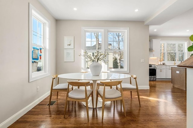 dining space featuring sink, dark wood-type flooring, and a wealth of natural light