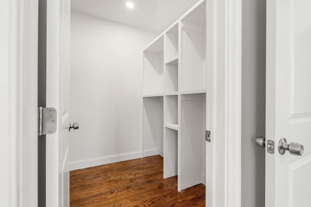 walk in closet featuring dark wood-type flooring