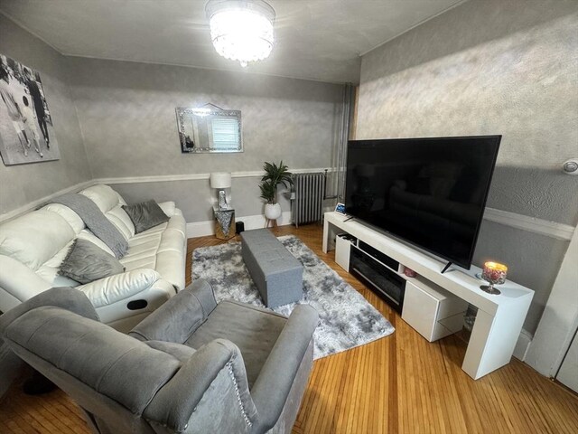 59-61 Waite St, Malden, MA 02148 - living area featuring radiator heating unit and wood finished floors