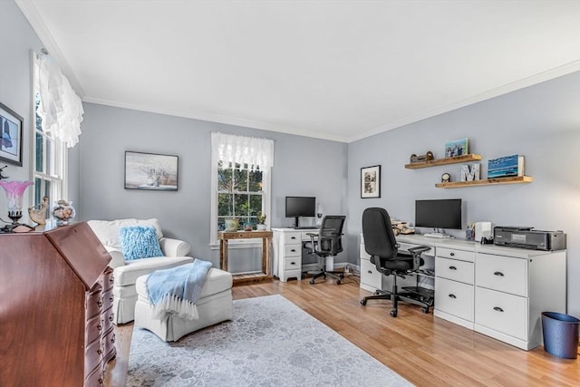 4 Kattail Rd, Hudson, MA 01749 - office featuring crown molding and light wood-style flooring