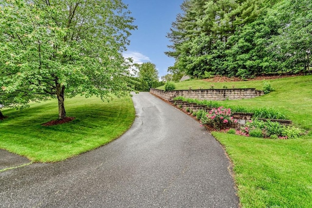 4 Kattail Rd, Hudson, MA 01749 - surrounding community featuring a lawn