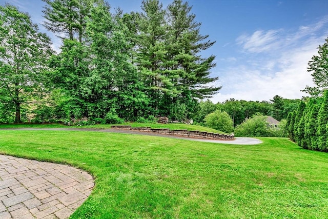 4 Kattail Rd, Hudson, MA 01749 - view of grassy yard