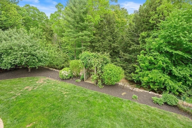 16 Preserve Way, Sturbridge, MA 01566 - view of grassy yard
