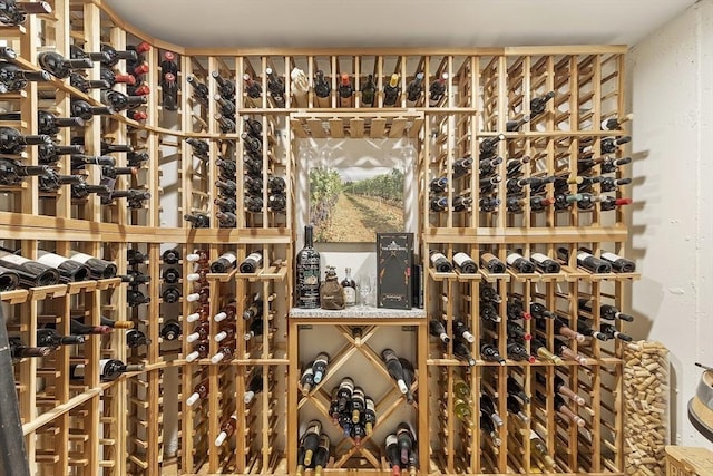 22 High St, Southborough, MA 01772 - view of wine area