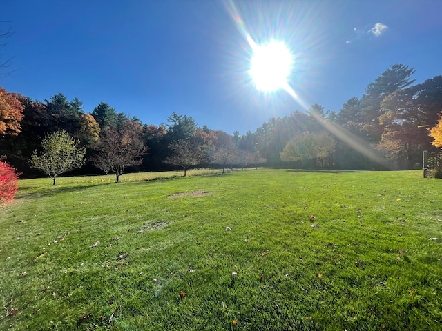 view of yard with a rural view