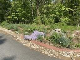 1302 Federal St Unit 20, Belchertown, MA 01007 - view of yard
