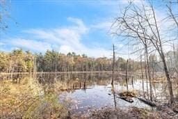 1302 Federal St Unit 20, Belchertown, MA 01007 - view of yard