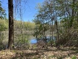1302 Federal St Unit 20, Belchertown, MA 01007 - water view