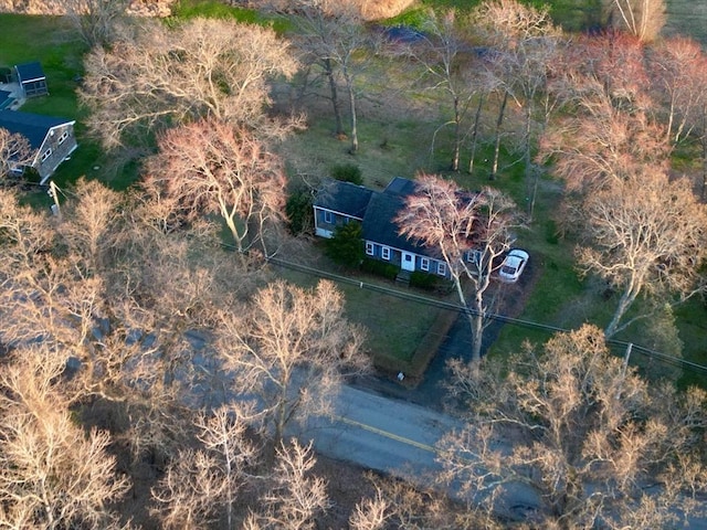 bird's eye view