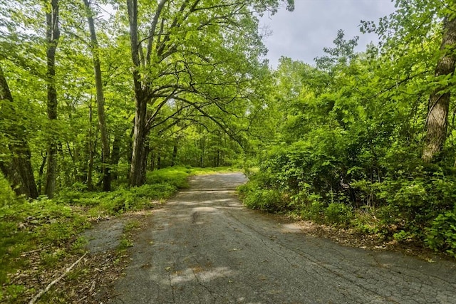 245 State Rd, Phillipston, MA 01331 - view of street featuring a wooded view