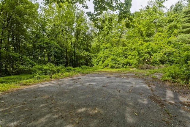 245 State Rd, Phillipston, MA 01331 - view of street with a view of trees