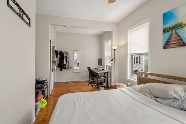 13 Knowlton St, Boston, MA 02127 - bedroom with wood finished floors and baseboards