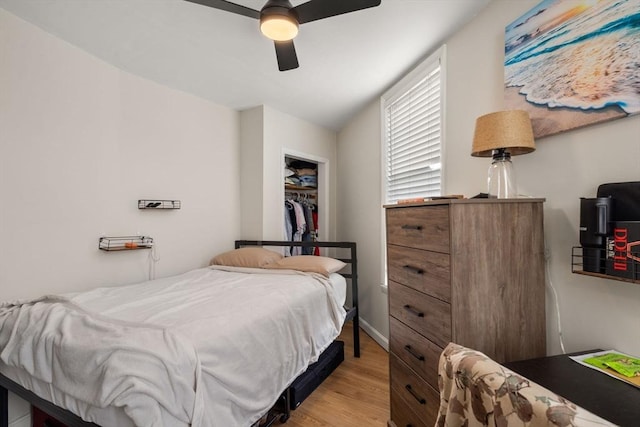13 Knowlton St, Boston, MA 02127 - bedroom with light wood-type flooring and ceiling fan
