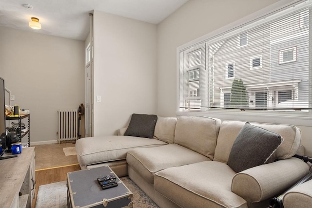 13 Knowlton St, Boston, MA 02127 - living area featuring radiator and wood finished floors