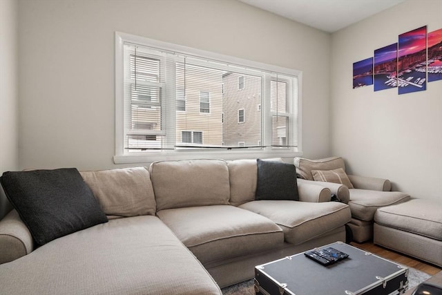 13 Knowlton St, Boston, MA 02127 - living area with wood finished floors