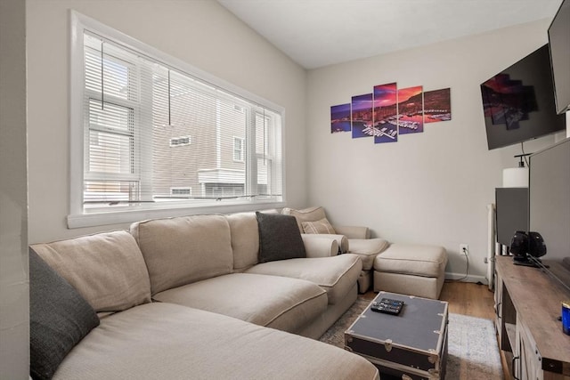 13 Knowlton St, Boston, MA 02127 - living room with healthy amount of natural light, light wood-style floors, and baseboards