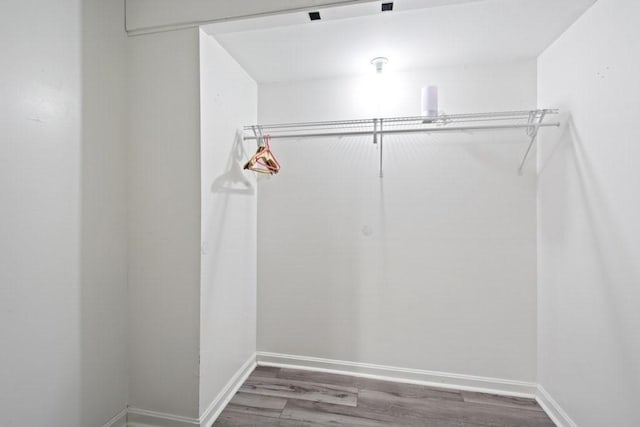 walk in closet with wood-type flooring