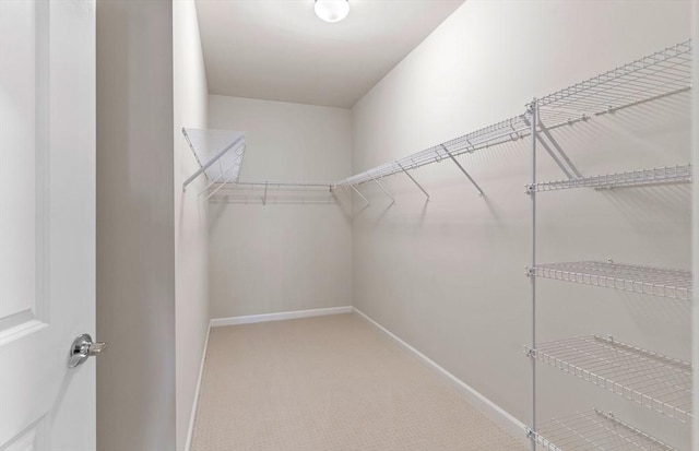 spacious closet featuring carpet flooring