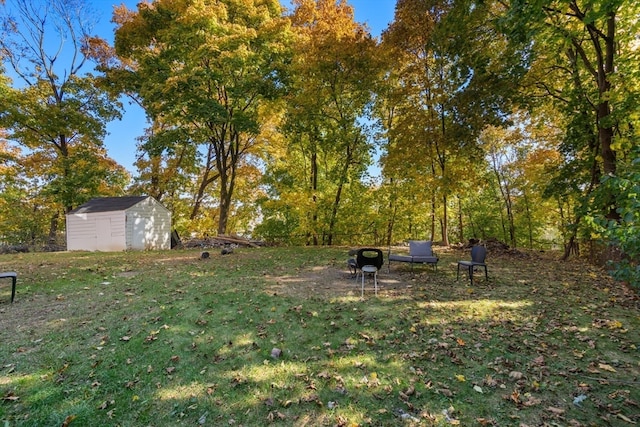 view of yard featuring a storage unit