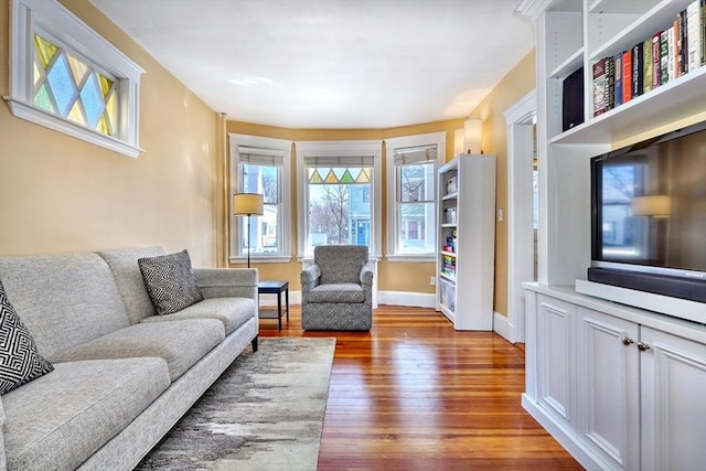 living room with wood-type flooring