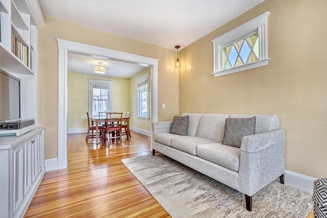 living room with light wood-type flooring