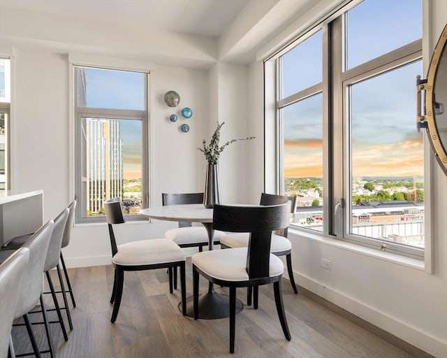 dining room featuring wood finished floors, plenty of natural light, and baseboards