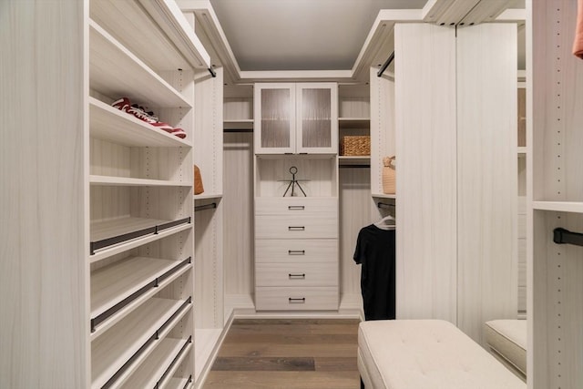 spacious closet with dark wood-style floors