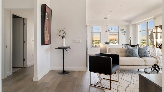 living room featuring wood finished floors, baseboards, and a chandelier