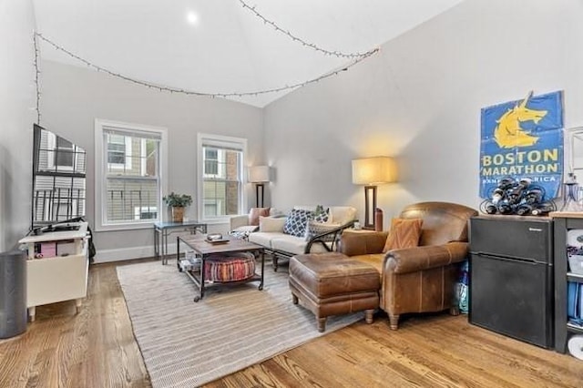 living room featuring wood finished floors and a high ceiling