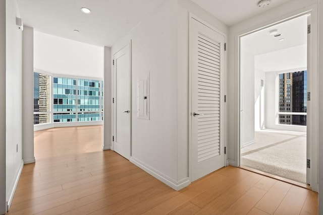 hall featuring light hardwood / wood-style floors