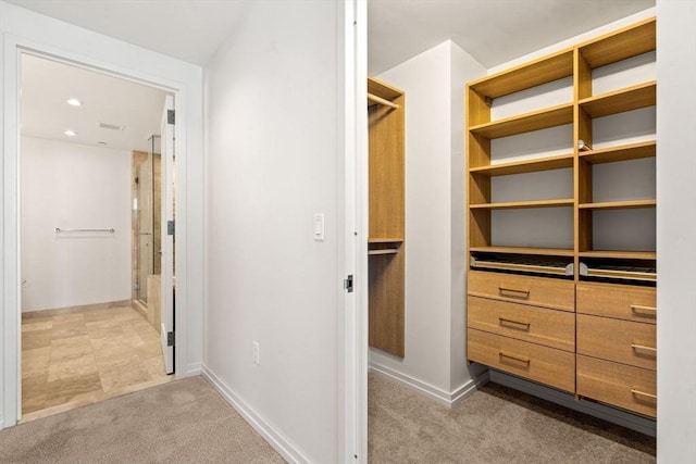 spacious closet with light carpet