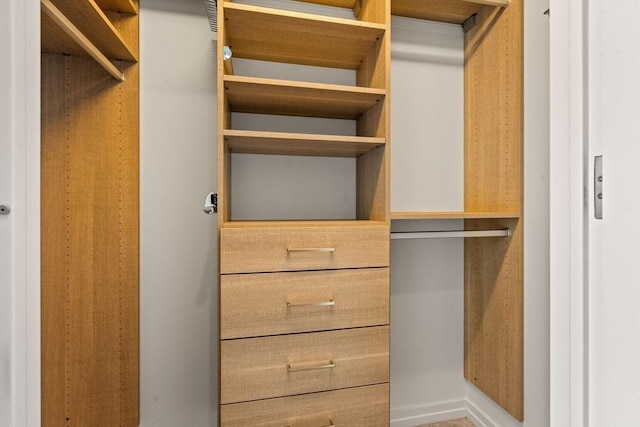 view of spacious closet