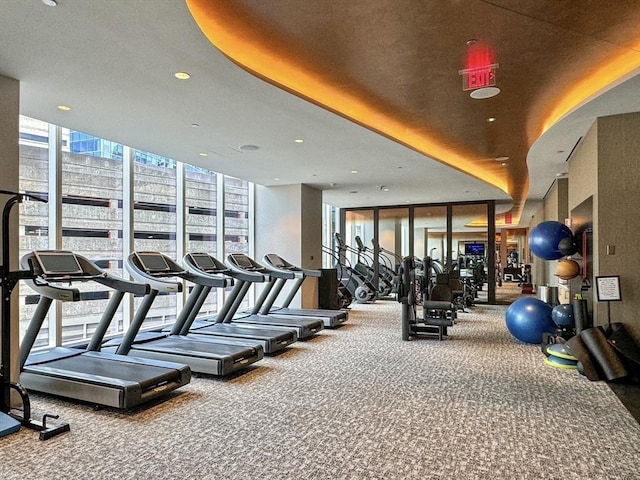 exercise room featuring a wall of windows