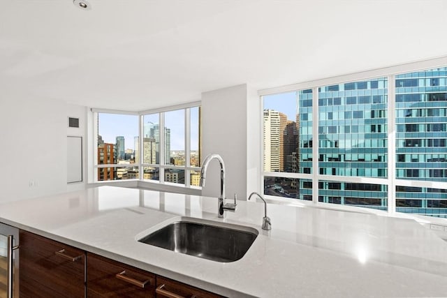 kitchen with plenty of natural light, sink, and dark brown cabinets