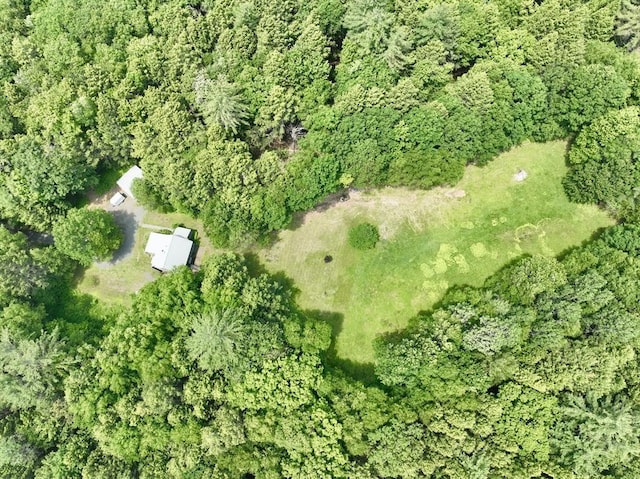 1962 Shelburne Falls Rd, Conway, MA 01341 - aerial view of property and surrounding area with a forest