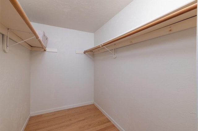 13 Laura Ln, Norton, MA 02766 - spacious closet with light wood finished floors