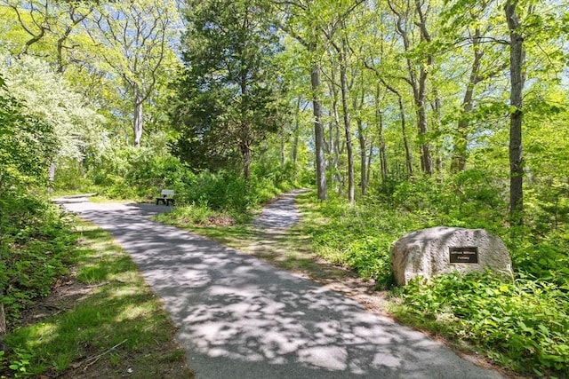 view of road featuring a wooded view