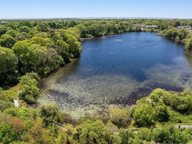 aerial view of a nearby body of water and a forest